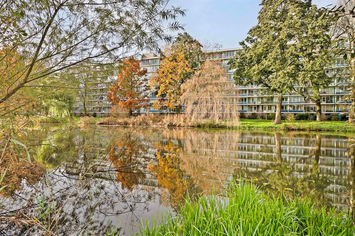 Rhodosdreef 134 in Utrecht photo