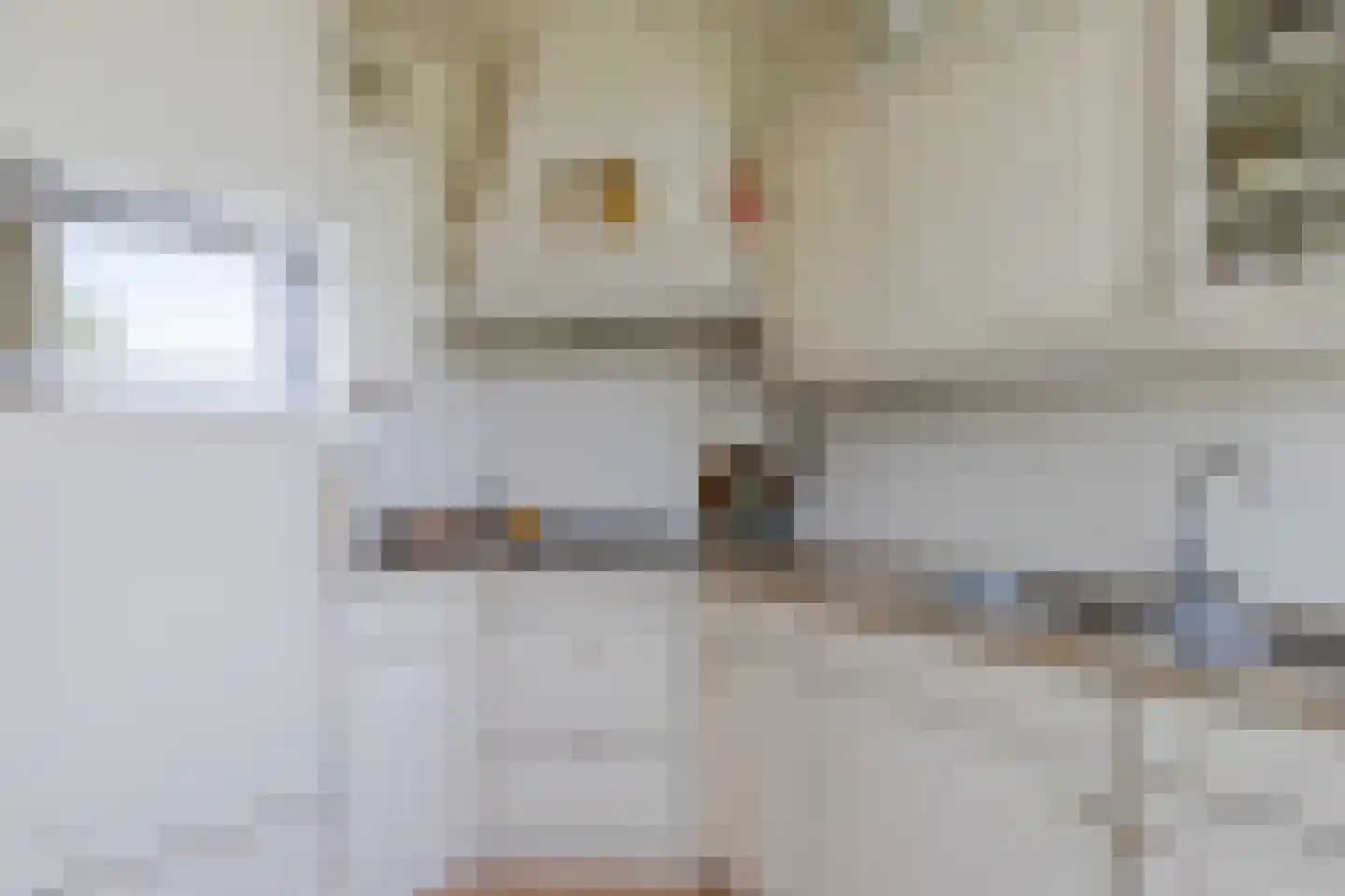 Rhodosdreef 152 Utrecht thumbnail 23