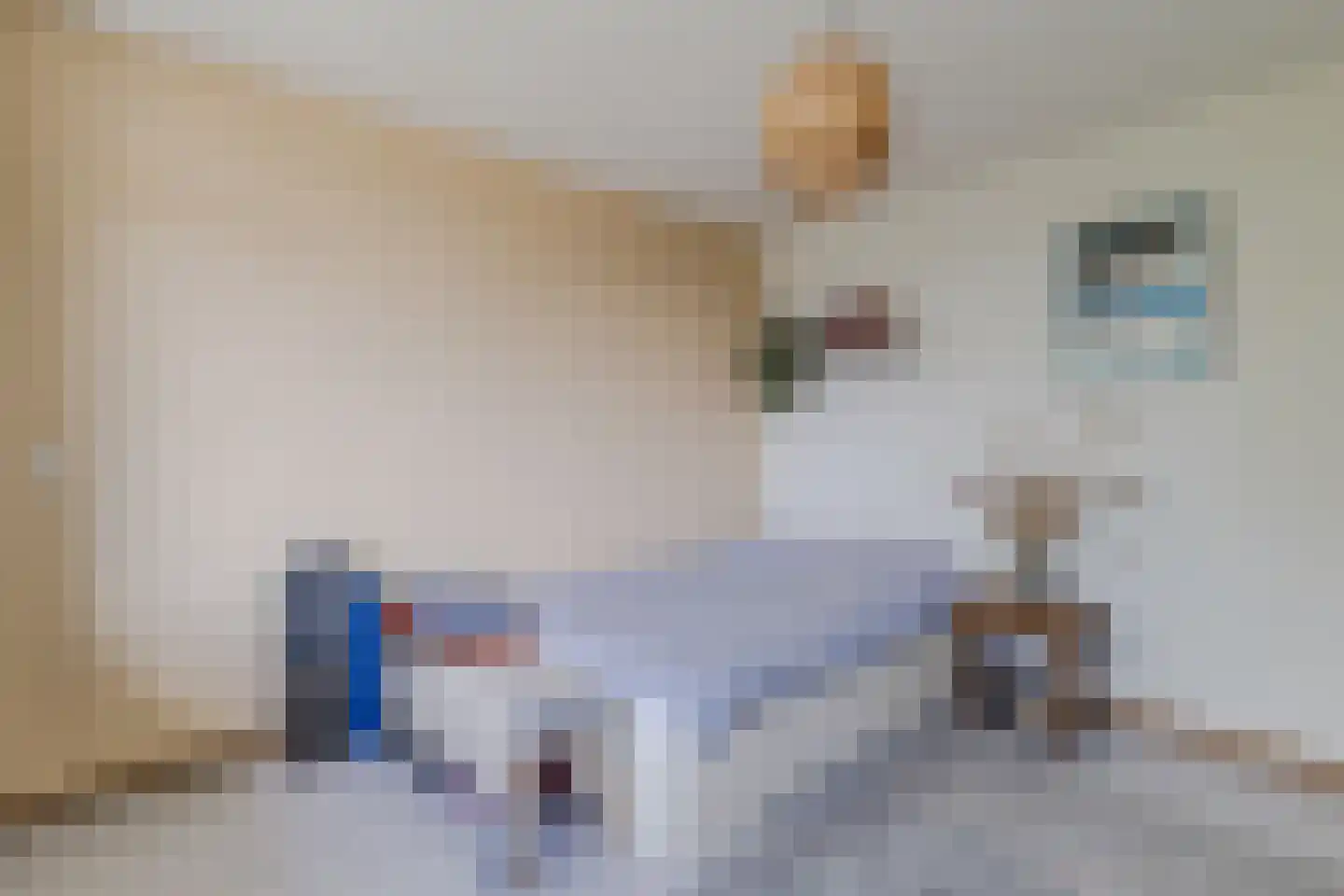 Rhodosdreef 152 Utrecht thumbnail 33