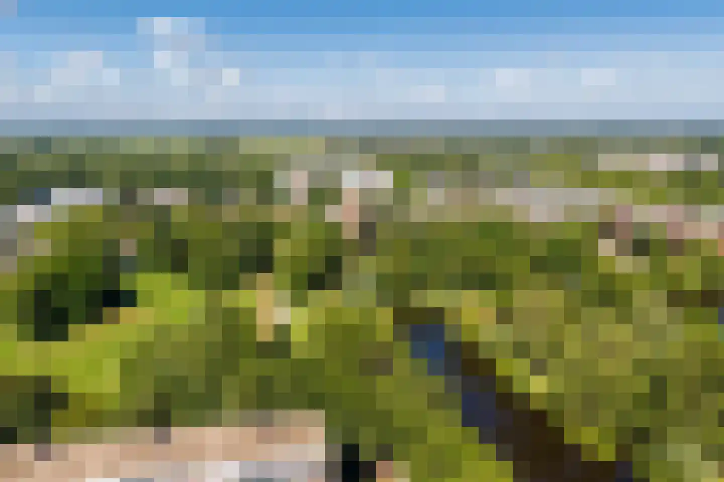 Rhodosdreef 152 Utrecht thumbnail 54