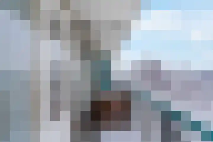 Rhodosdreef 218 Utrecht thumbnail 17
