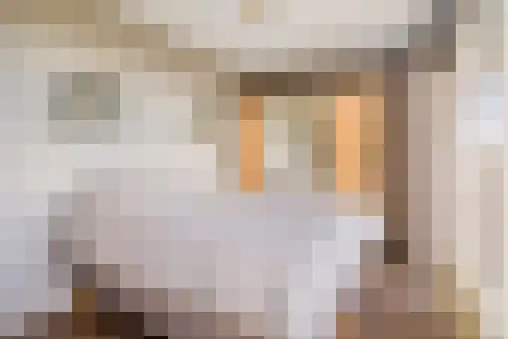 Rhodosdreef 240 Utrecht thumbnail 18