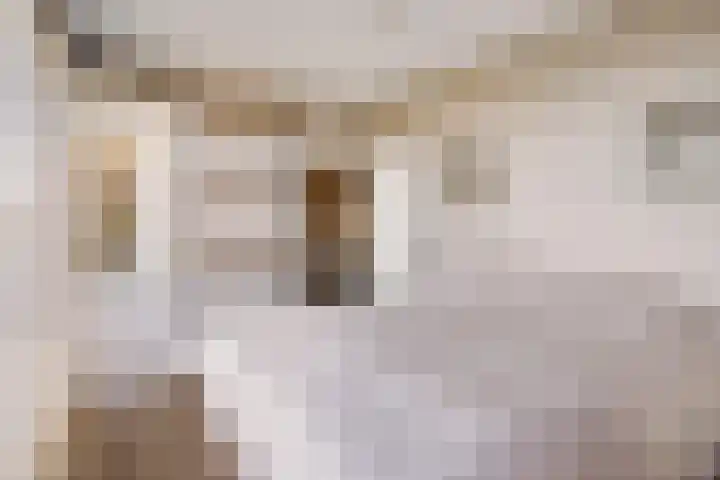 Rhodosdreef 240 Utrecht thumbnail 19