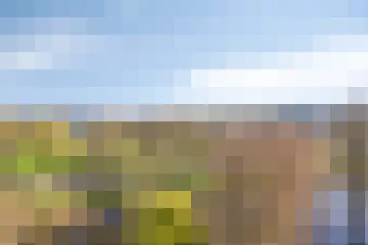 Rhodosdreef 240 Utrecht thumbnail 21