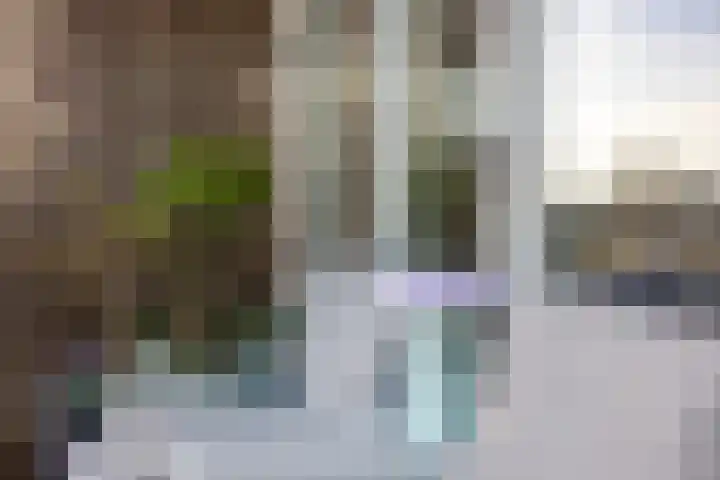 Rhodosdreef 240 Utrecht thumbnail 22