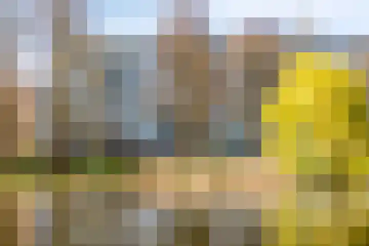Rhodosdreef 240 Utrecht thumbnail 24