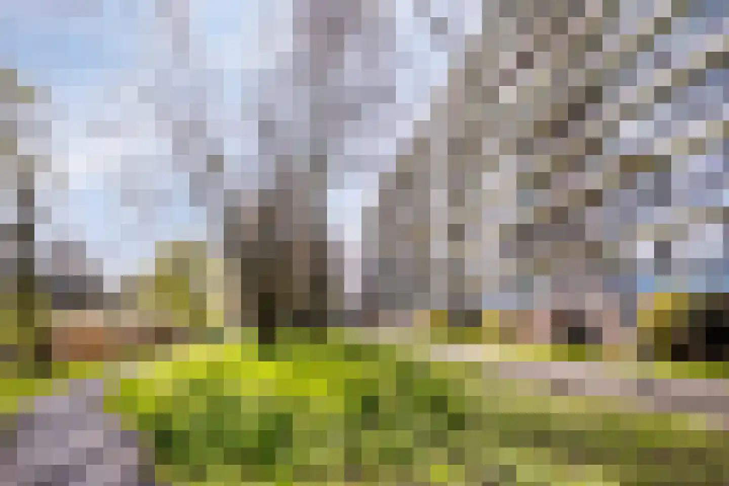 Rhodosdreef 240 Utrecht thumbnail 30