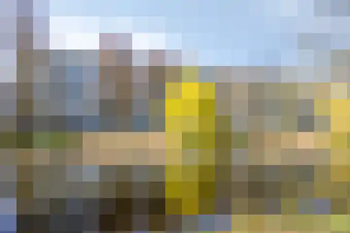 Rhodosdreef 240 Utrecht thumbnail 6