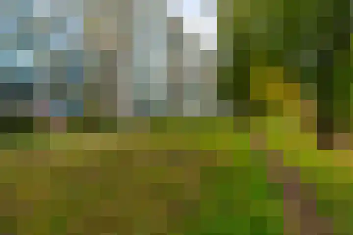 Rhodosdreef 72 Utrecht thumbnail 31