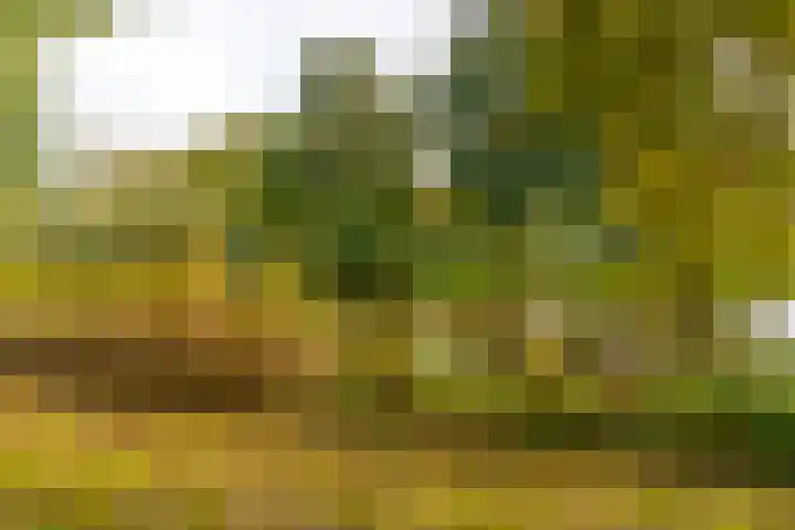 Rhodosdreef 72 Utrecht thumbnail 32