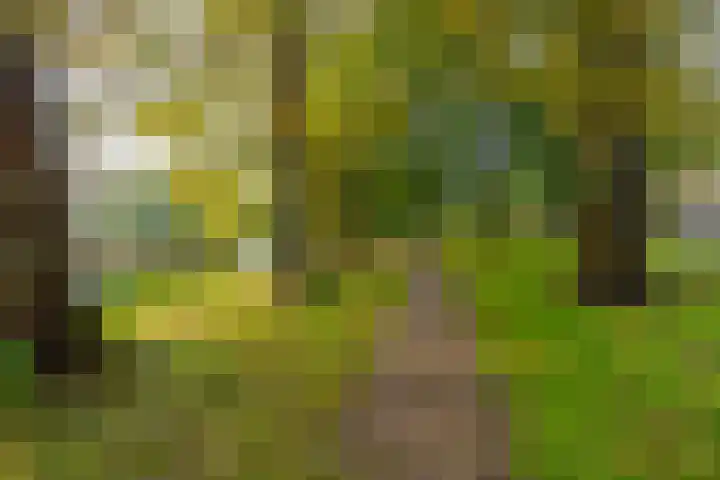 Rhodosdreef 72 Utrecht thumbnail 33
