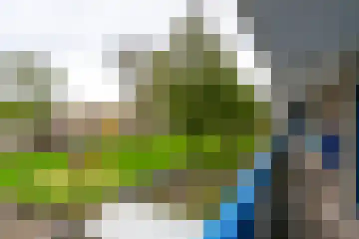 Rhodosdreef 72 Utrecht thumbnail 8