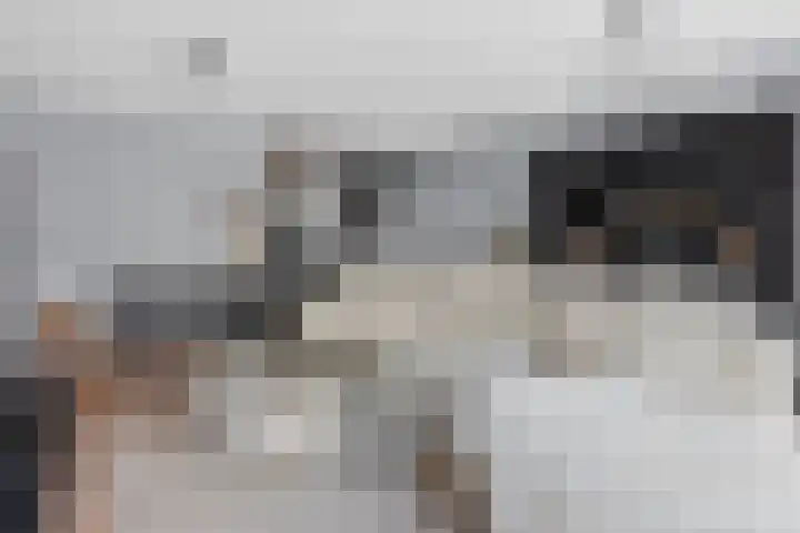 Rhodoshof 14 Rotterdam thumbnail 11