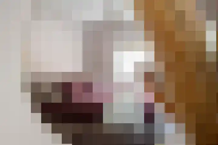 Rhodoshof 14 Rotterdam thumbnail 17