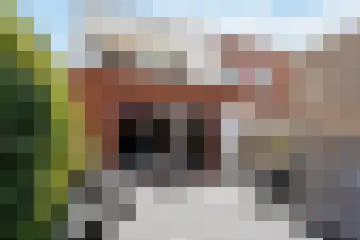 Rhodoshof 14 Rotterdam thumbnail 25
