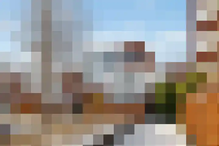 Rhodoshof 14 Rotterdam thumbnail 26