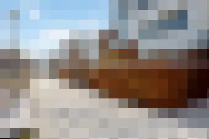 Rhodoshof 14 Rotterdam thumbnail 27