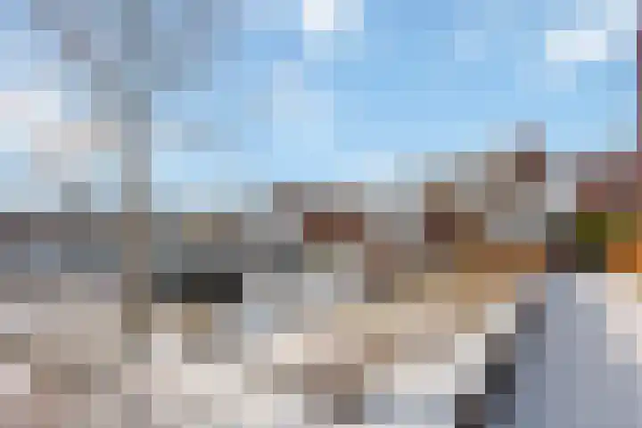 Rhodoshof 14 Rotterdam thumbnail 29