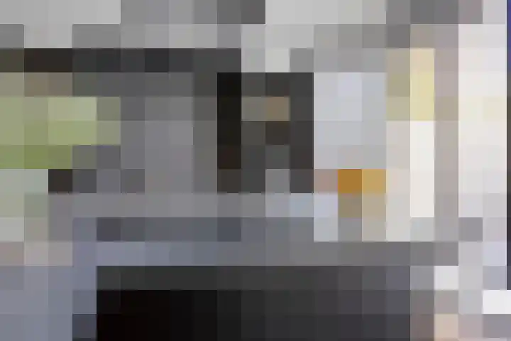 Rhodoshof 14 Rotterdam thumbnail 9
