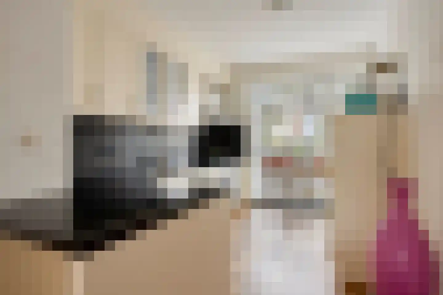 Rhodoshof 3 Rotterdam thumbnail 16