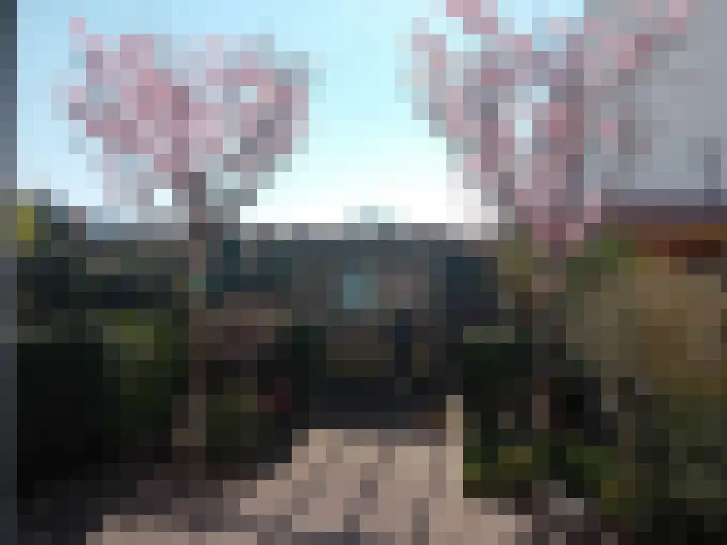 Rhodoshof 3 Rotterdam thumbnail 34