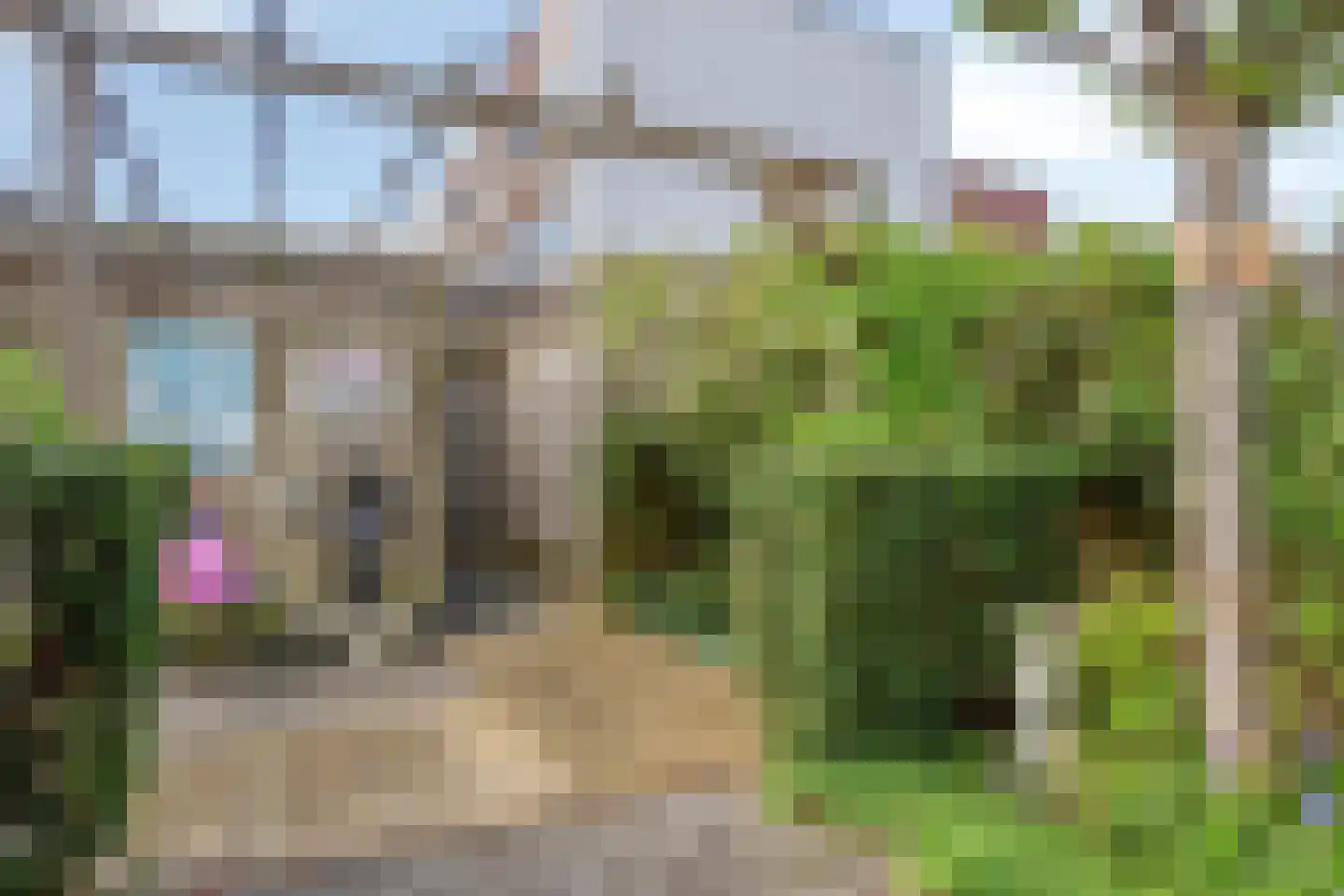 Rhodoshof 3 Rotterdam thumbnail 6