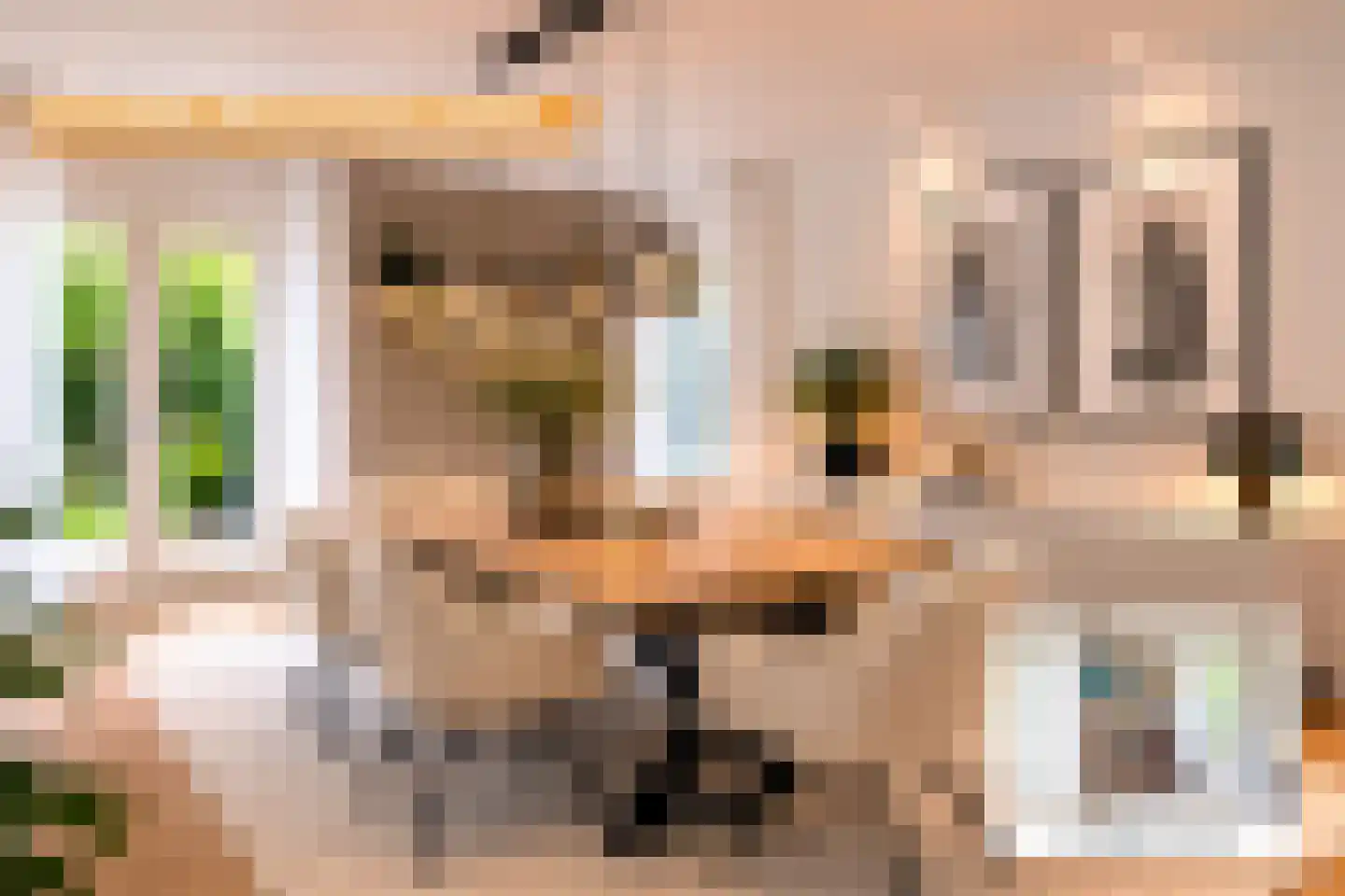 Rhodoslaan 2 Oldenzaal thumbnail 18