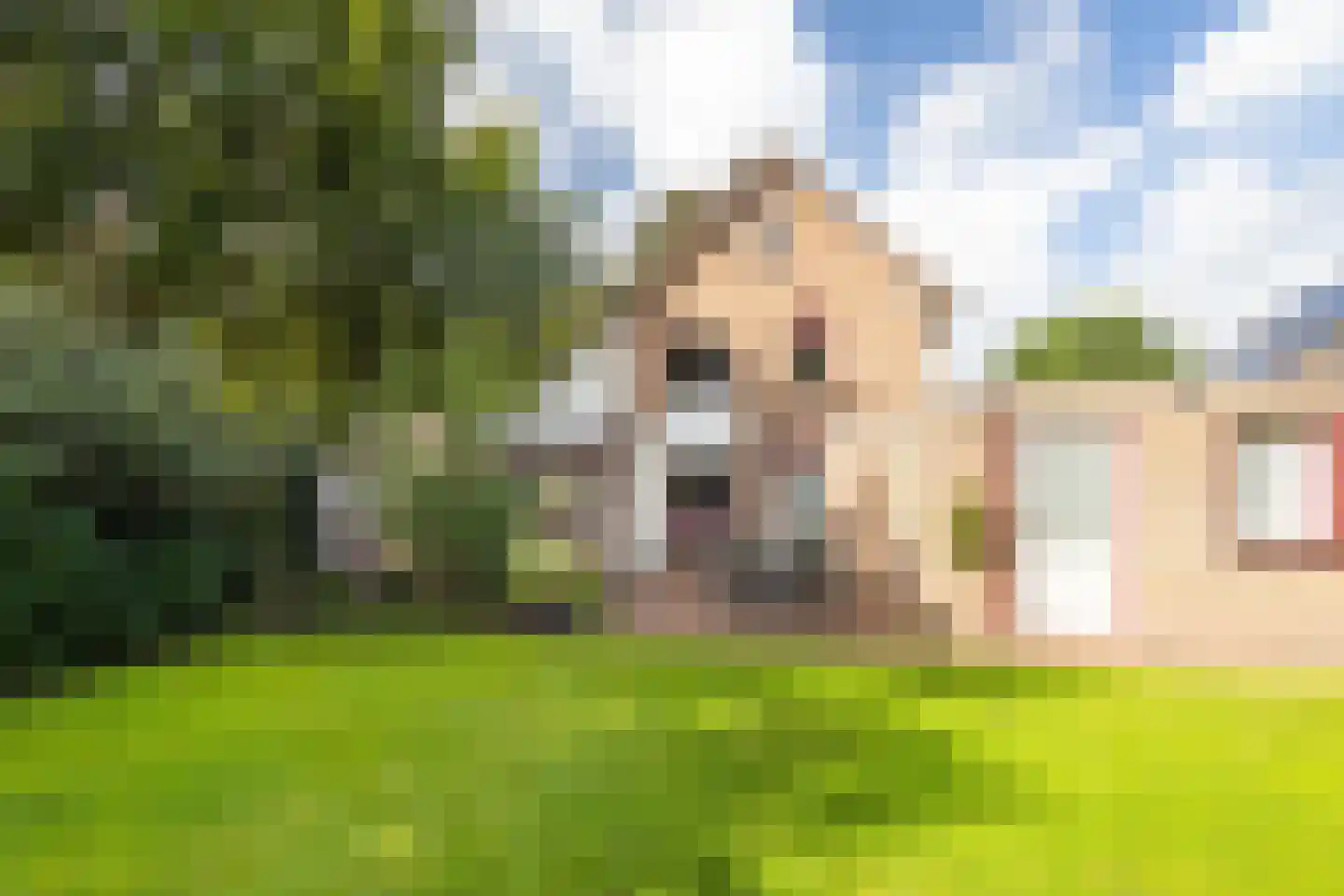 Rhodoslaan 2 Oldenzaal thumbnail 4