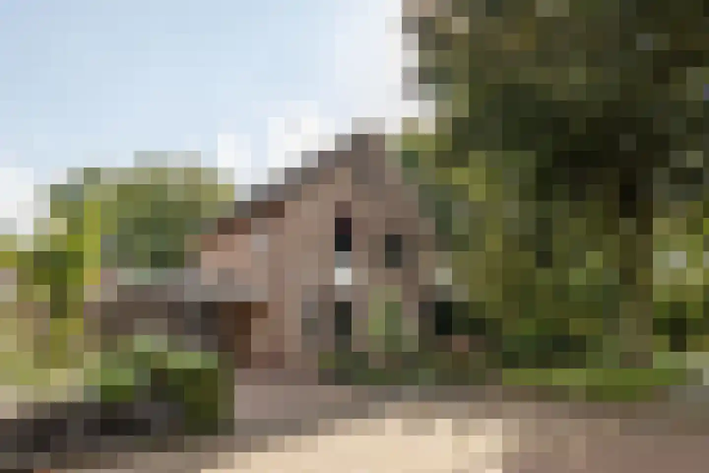 Rhodoslaan 2 Oldenzaal thumbnail 5