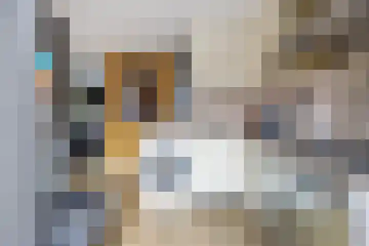 Rhônedreef 35 Utrecht thumbnail 8