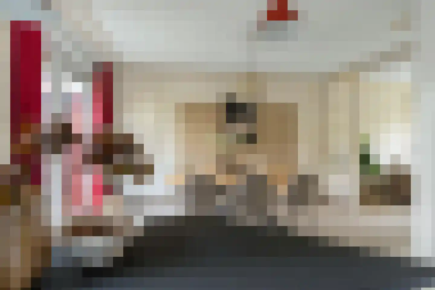 Rhônedreef 49 Utrecht thumbnail 16