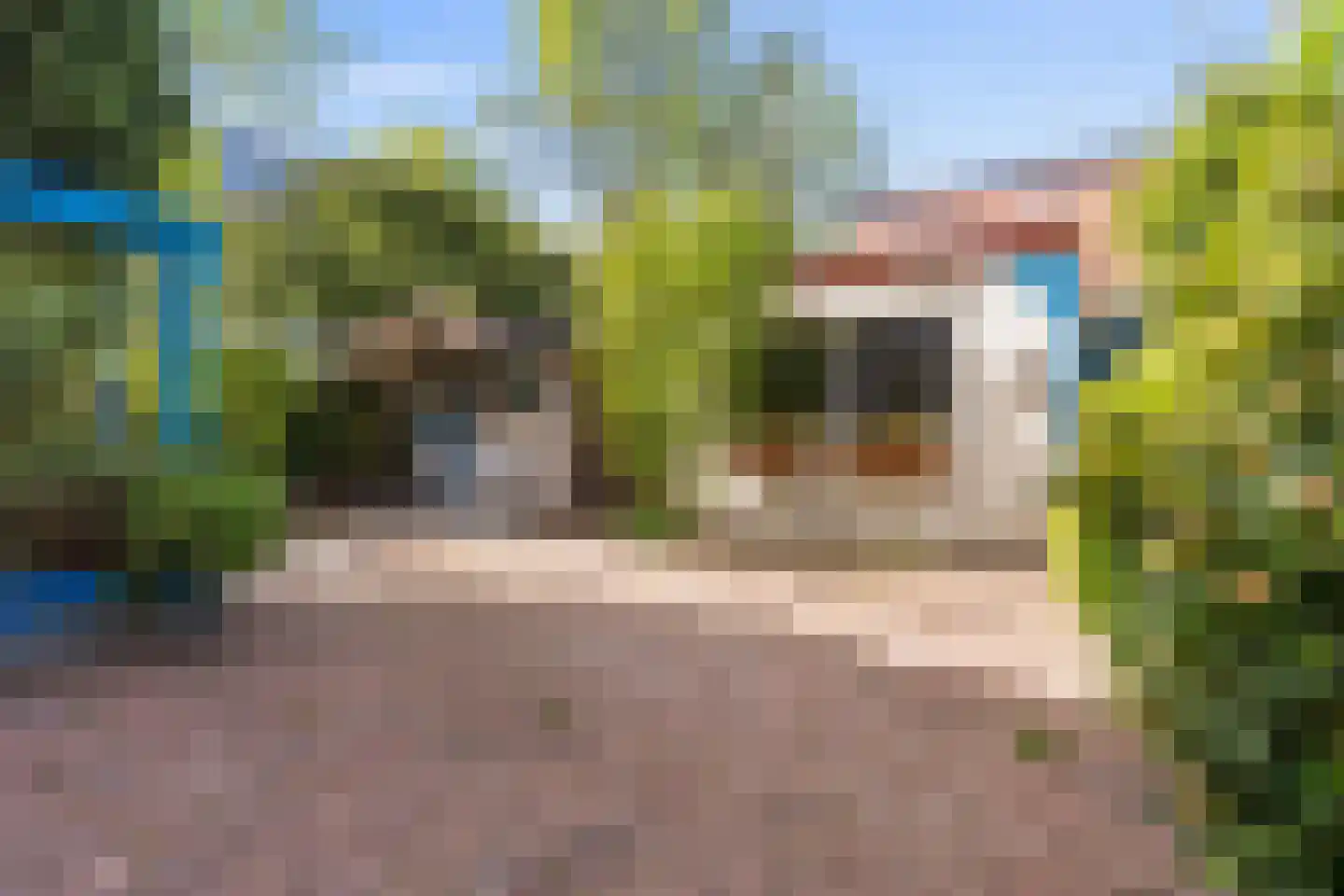 Rhônedreef 49 Utrecht thumbnail 30