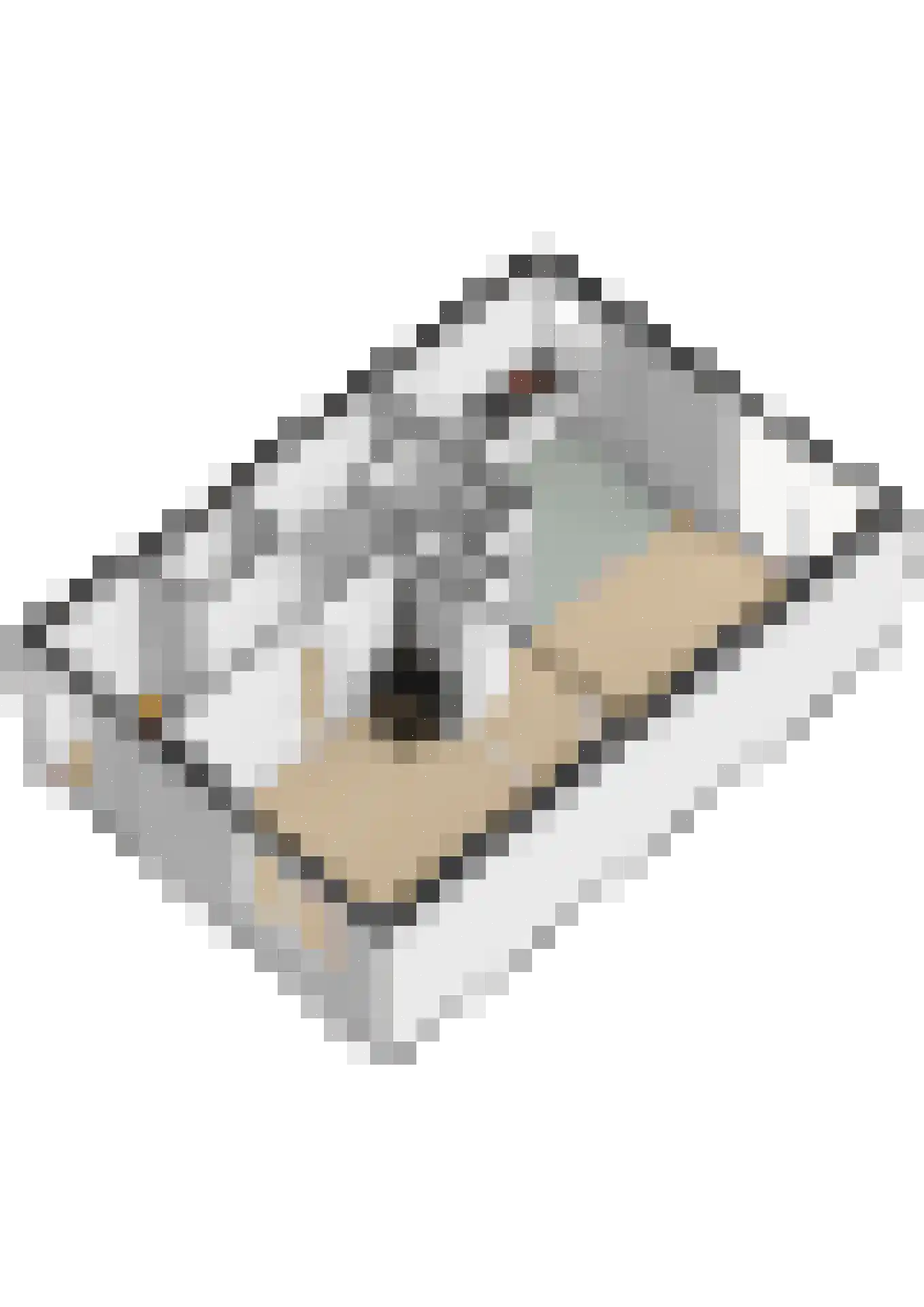 Rhônedreef 49 Utrecht thumbnail 37