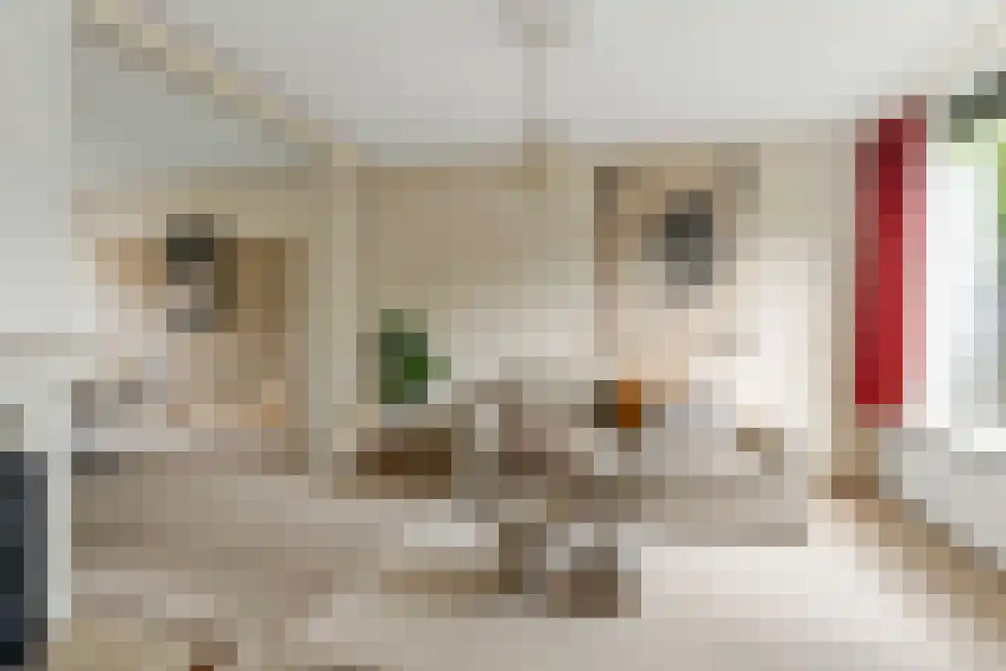 Rhônedreef 49 Utrecht thumbnail 5