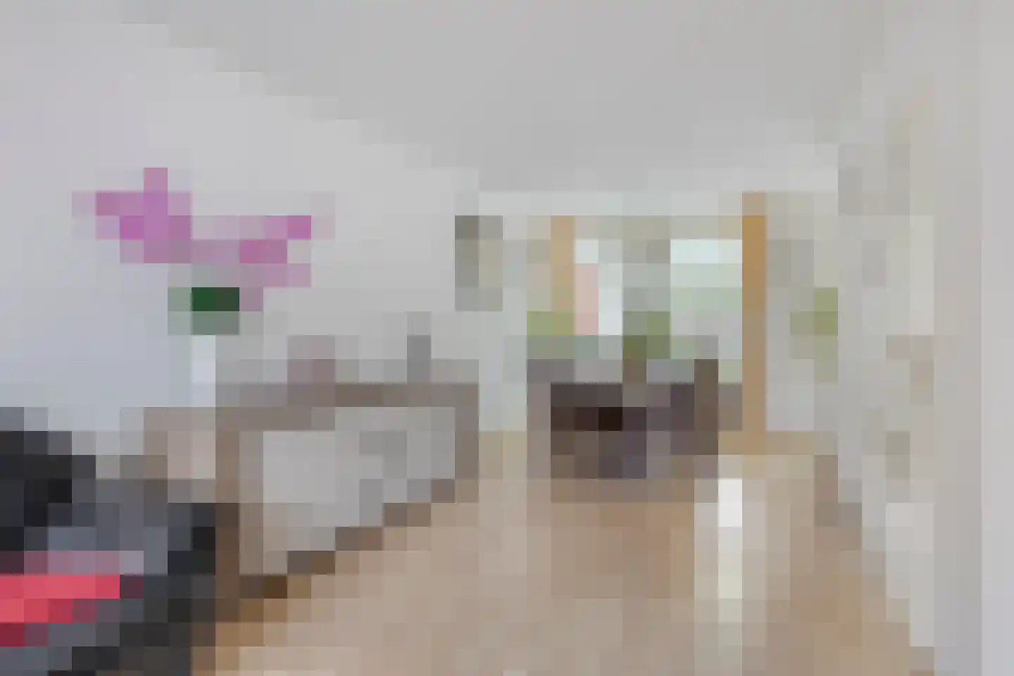 Rhônelaan 16 Eindhoven thumbnail 6