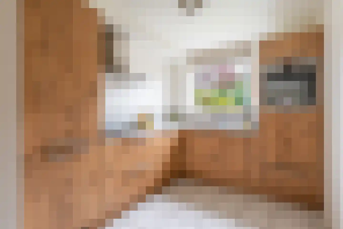 Rhônelaan 19 Eindhoven thumbnail 14