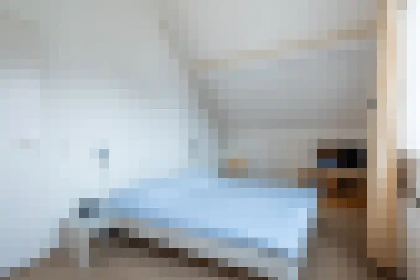 Rhônelaan 19 Eindhoven thumbnail 20