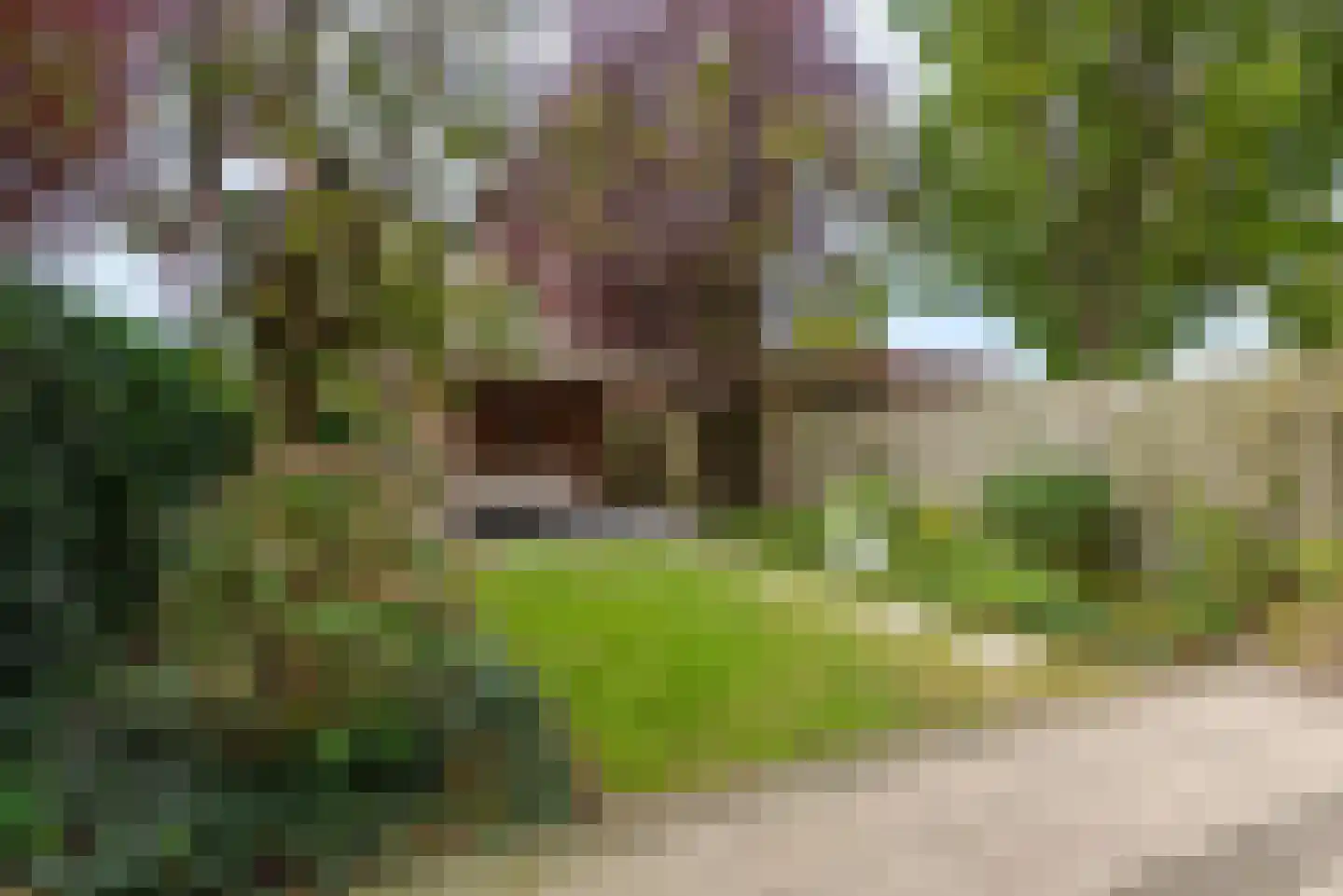 Rhônelaan 19 Eindhoven thumbnail 36