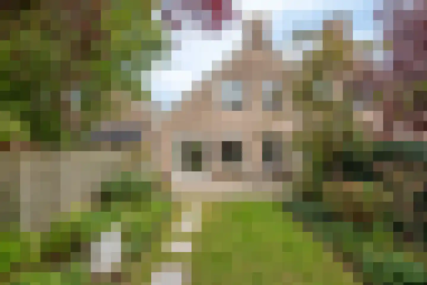 Rhônelaan 19 Eindhoven thumbnail 39