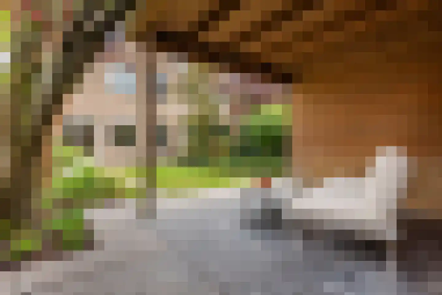 Rhônelaan 19 Eindhoven thumbnail 41