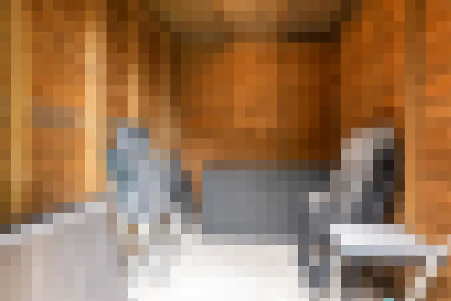 Rhônelaan 19 Eindhoven thumbnail 43