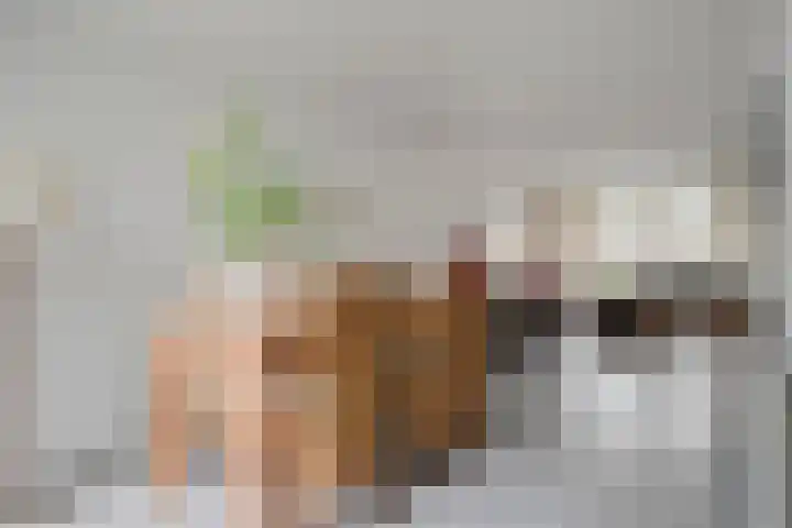 Rhônelaan 26 Eindhoven thumbnail 10