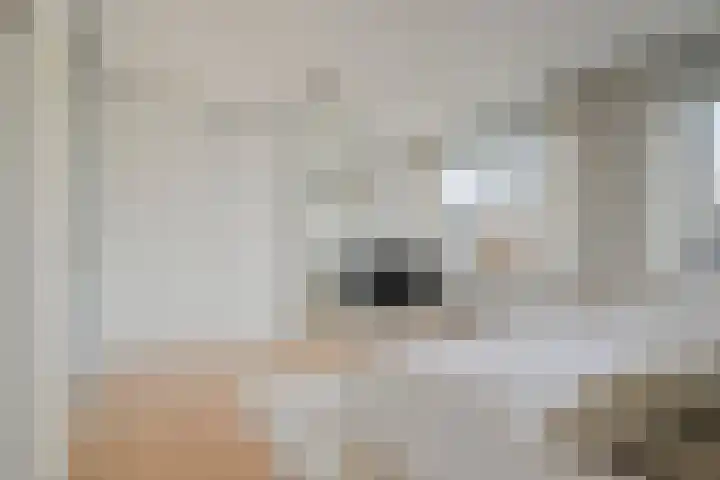 Rhônelaan 26 Eindhoven thumbnail 17