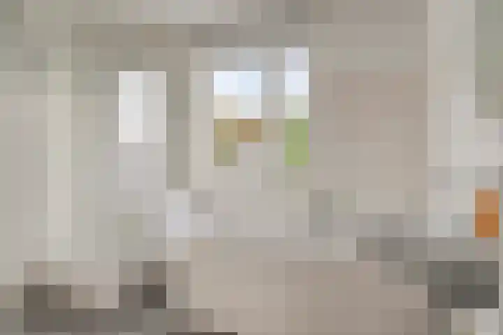 Rhônelaan 26 Eindhoven thumbnail 18