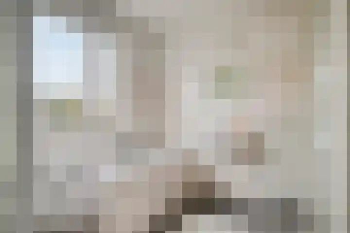Rhônelaan 26 Eindhoven thumbnail 19