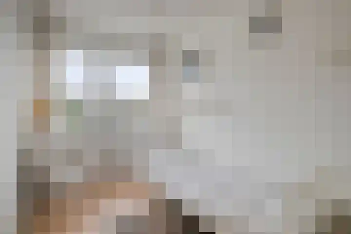 Rhônelaan 26 Eindhoven thumbnail 21