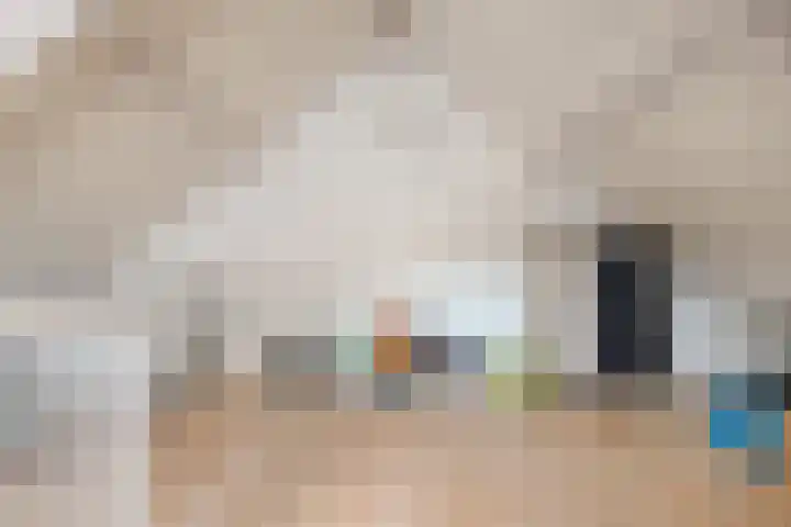 Rhônelaan 26 Eindhoven thumbnail 24