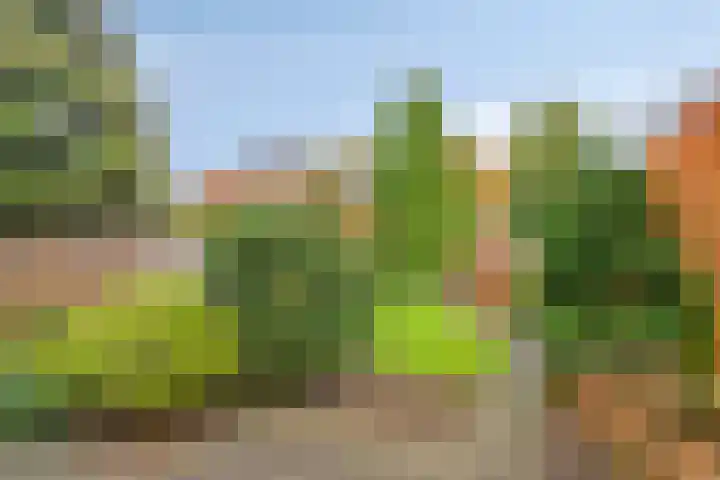 Rhônelaan 26 Eindhoven thumbnail 27