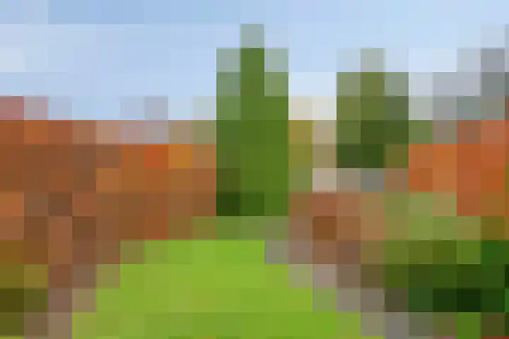 Rhônelaan 26 Eindhoven thumbnail 28