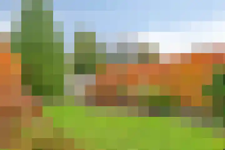 Rhônelaan 26 Eindhoven thumbnail 29